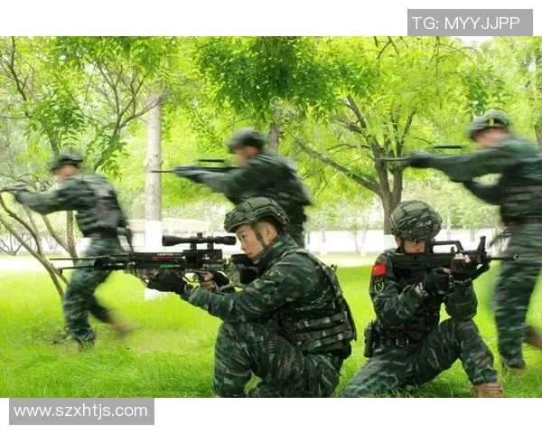 深入分析FPX战队进攻策略与战术布局的全景解读